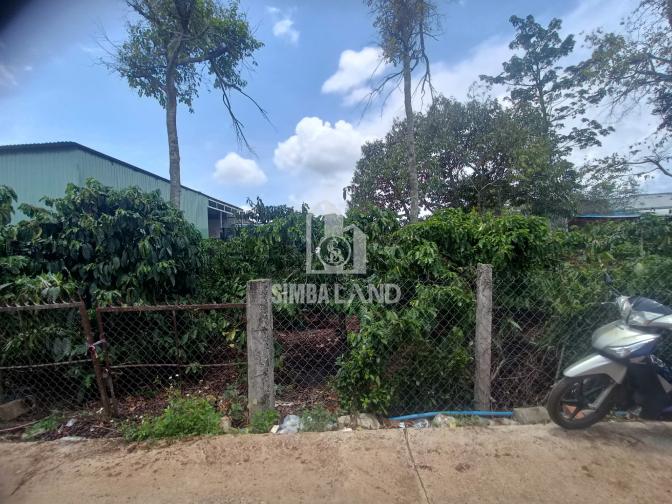 Ảnh chi tiết Bán đất vườn 1200m2 có 300m2 đất ở mặt tiền 15m Làm nhà Vườn Gần Chợ Tân Hội Giá 2,35ty - Phần 3