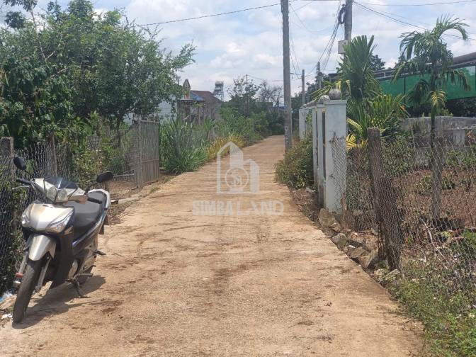 Ảnh chi tiết Bán đất vườn 1200m2 có 300m2 đất ở mặt tiền 15m Làm nhà Vườn Gần Chợ Tân Hội Giá 2,35ty - Phần 4