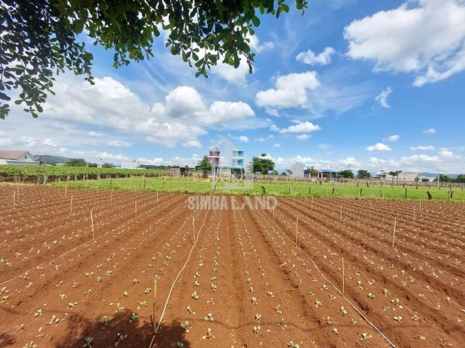 Ảnh chi tiết Đất Thị trấn Liên Nghĩa, Tổ 34 - Phần 2