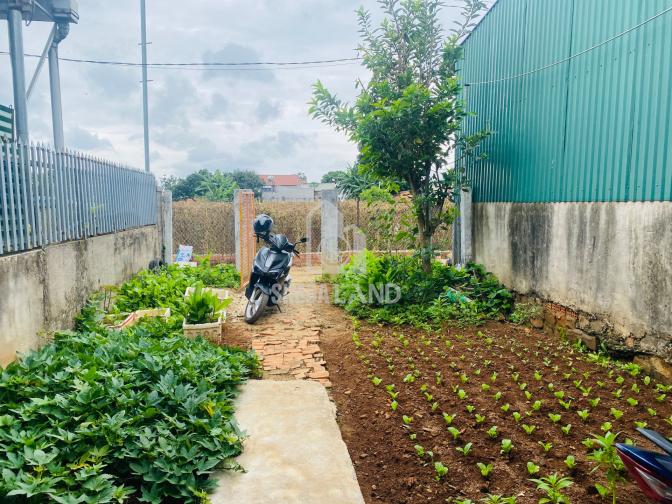 Ảnh chi tiết Đất trung tâm Liên Nghĩa giá tốt 1,25ty - Phần 7