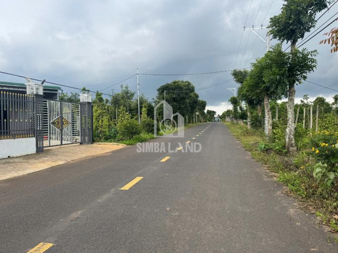 Ảnh chi tiết Bán đất Đất Trọng đường nhựa dt 10x48m tc75m2 giá 2,1ty xây nhà nghỉ dưỡng - Phần 2