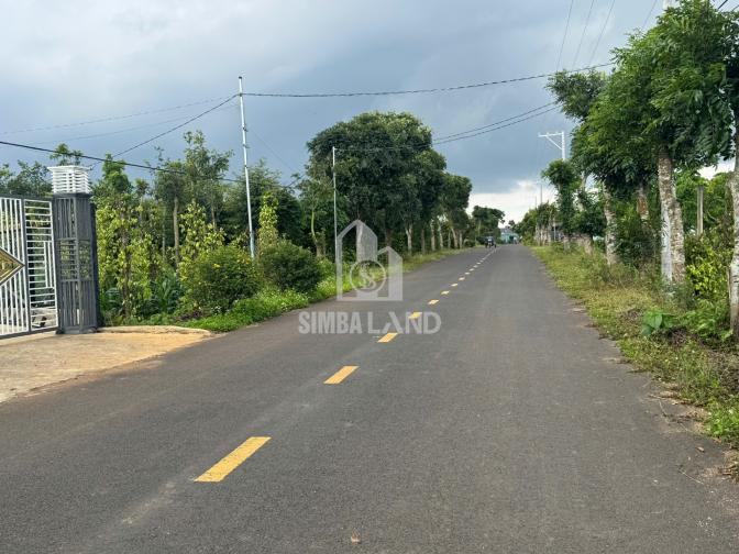 Ảnh chi tiết Bán đất Đất Trọng đường nhựa dt 10x48m tc75m2 giá 2,1ty xây nhà nghỉ dưỡng - Phần 3