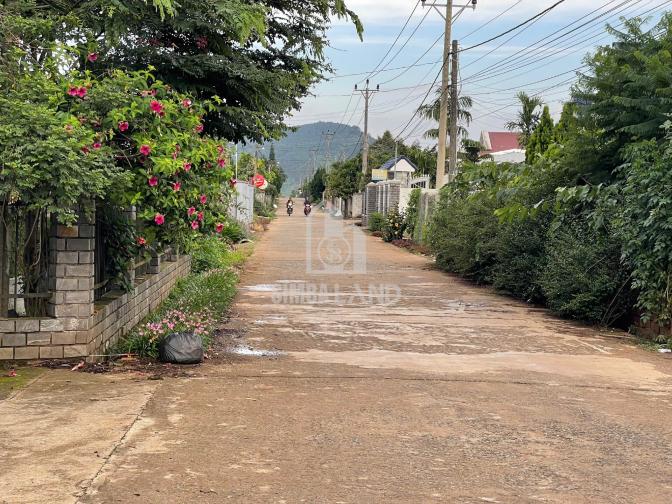Ảnh chi tiết bán đất tặng nhà cư xá, thuộc xã Hiệp Thạnh - Phần 3