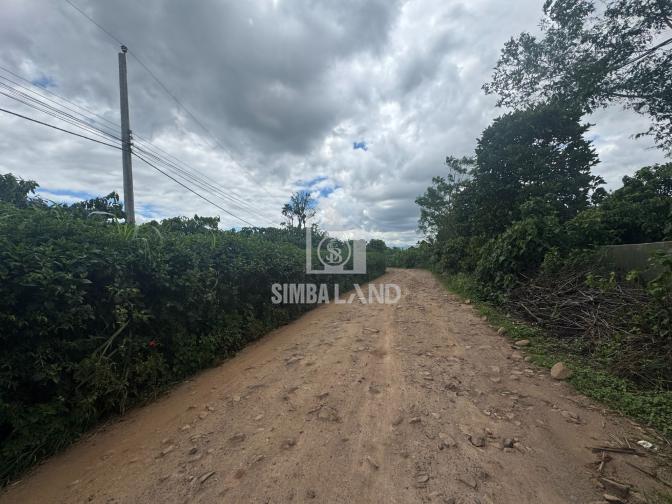 Ảnh chi tiết Bán đất vườn 6000m2 có 100m mặt tiền cách sân bay Liên khương 15 phút - Phần 2
