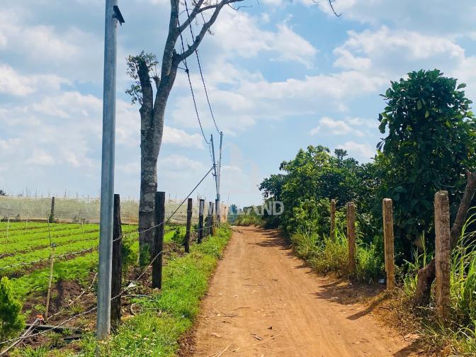 Ảnh chi tiết Bán đất vườn 6000m2 có 100m mặt tiền cách sân bay Liên khương 15 phút - Phần 3