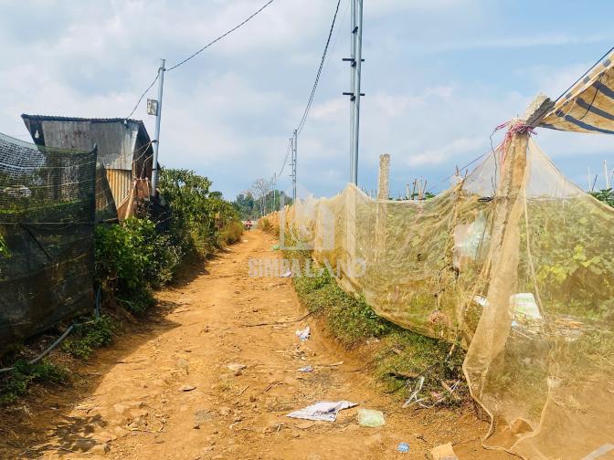 Ảnh chi tiết Bán đất vườn 6000m2 có 100m mặt tiền cách sân bay Liên khương 15 phút - Phần 4