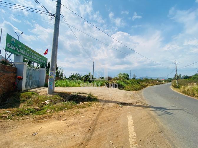 Ảnh chi tiết Bán đất vườn 6000m2 có 100m mặt tiền cách sân bay Liên khương 15 phút - Phần 6