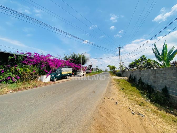 Ảnh chi tiết Bán đất vườn 6000m2 có 100m mặt tiền cách sân bay Liên khương 15 phút - Phần 7