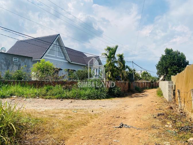 Ảnh chi tiết Bán đất vườn 6000m2 có 100m mặt tiền cách sân bay Liên khương 15 phút - Phần 10
