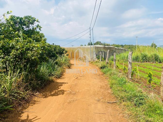 Ảnh chi tiết Bán đất vườn 6000m2 có 100m mặt tiền cách sân bay Liên khương 15 phút - Phần 12