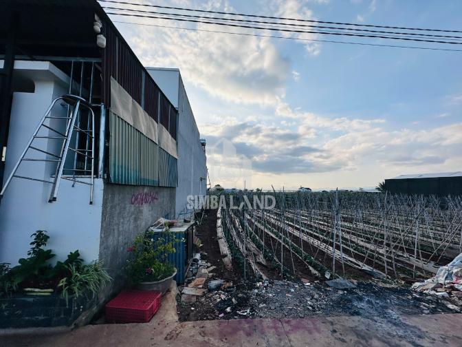 Ảnh chi tiết SP đầu tư - giá ngộp tổ 34 Đức Trọng  - Phần 4
