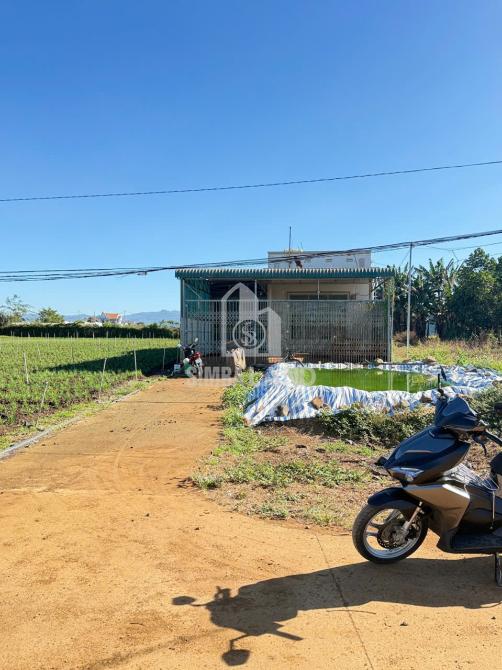 Ảnh chi tiết 150m2 FULL THỔ CƯ tổ 32 Đức Trọng - Thị trấn liên nghĩa cũ mà chỉ có hơn 1 T - Phần 3