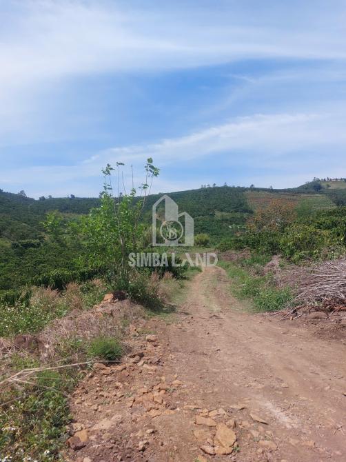 Ảnh chi tiết 1 ha đất Đinh Văn Lâm Hà có 400 thổ cư, bám đường 100m phía sau bao quanh suối - Phần 3
