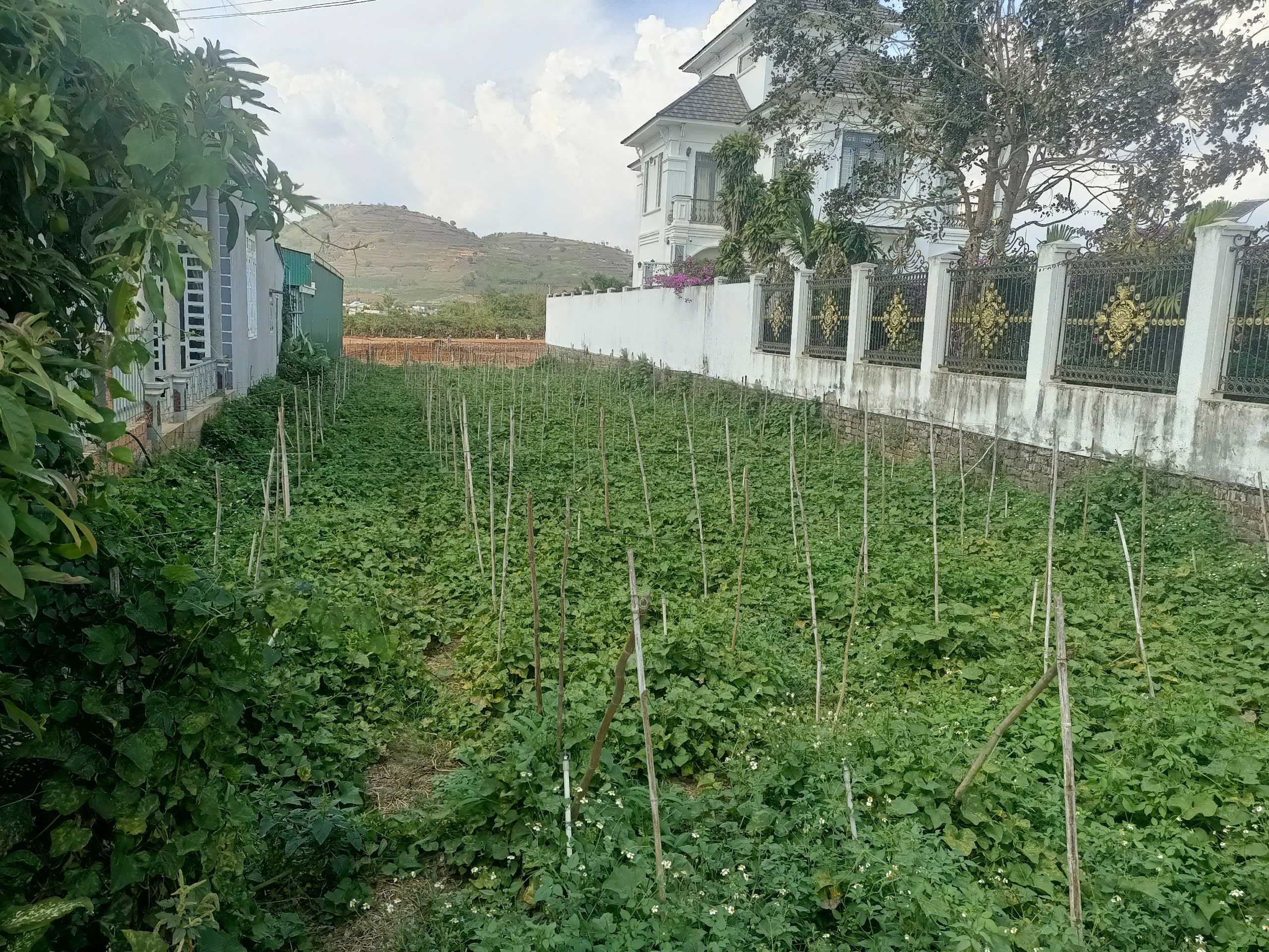 Ảnh chi tiết Bán đất Mặt tiền DT724 đường Nhựa 12m Dt 12x54m tc200m2 Làm Kho Bãi- Kinh doanh - Phần 3
