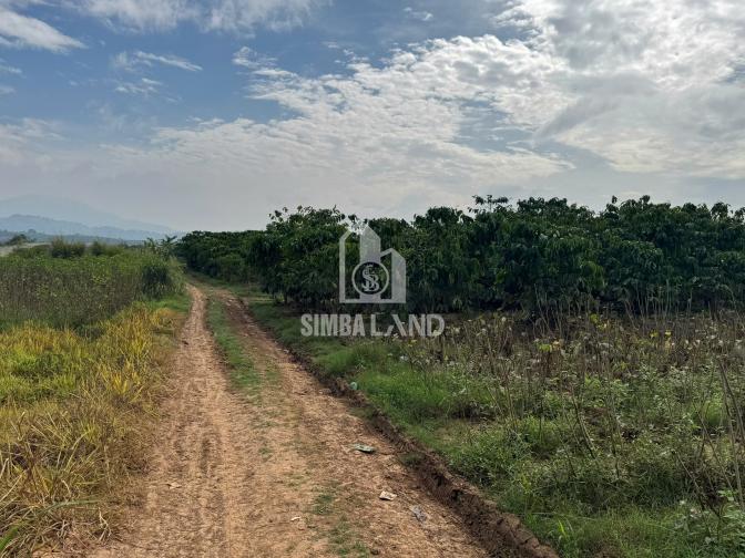 Bán 5500m đất gần sân bay liên khương dt 40x130m đường oto giá 2,7ty