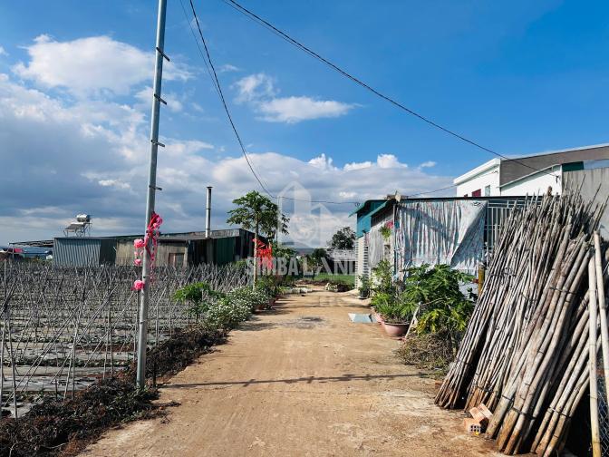 SP đầu tư - giá ngộp tổ 34 Đức Trọng 