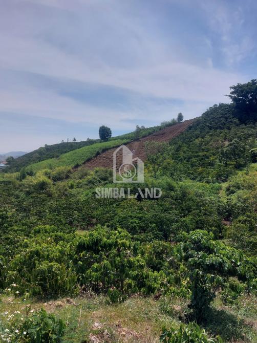 1 ha đất Đinh Văn Lâm Hà có 400 thổ cư, bám đường 100m phía sau bao quanh suối